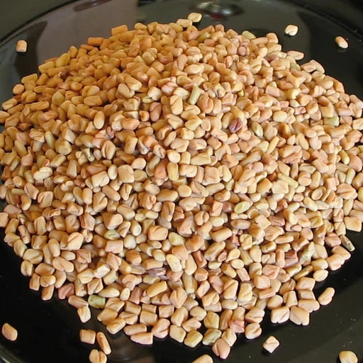 Fenugreek Extract ingredient photograph