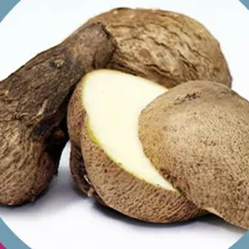 Maca Extract ingredient photograph