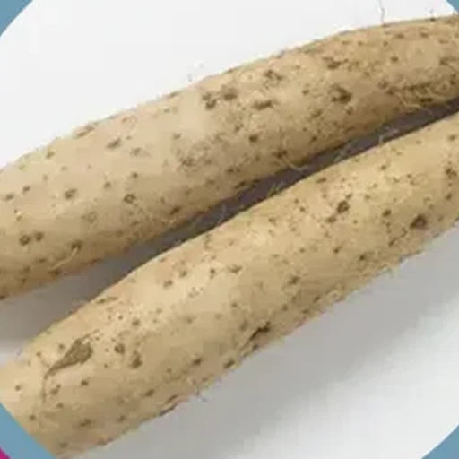 Wild Yam Extract ingredient photograph